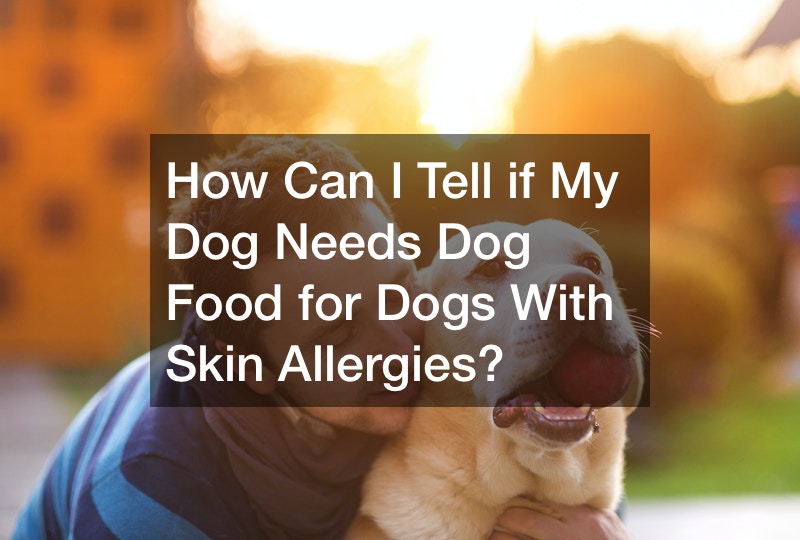 How Can I Tell if My Dog Needs Dog Food for Dogs With Skin Allergies?