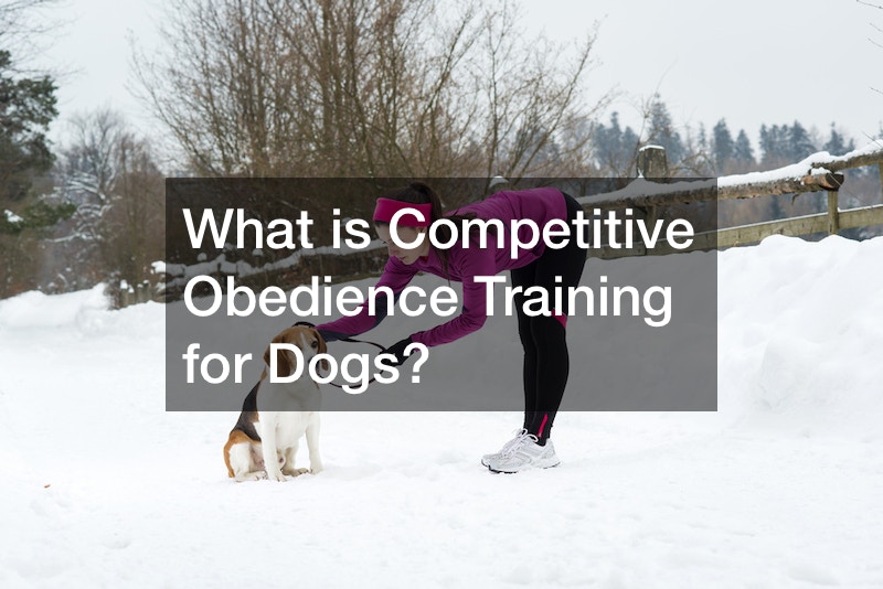 What is Competitive Obedience Training for Dogs?